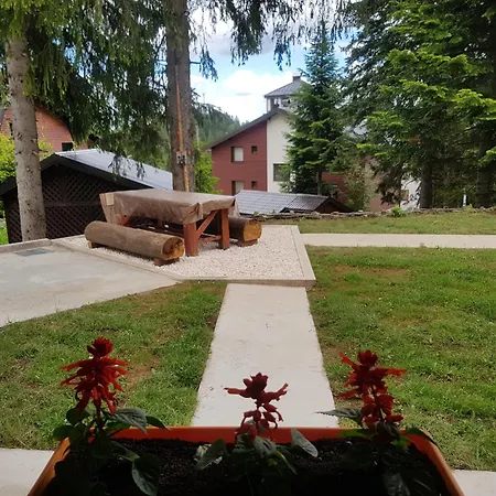 Sunshine Dreams Willa