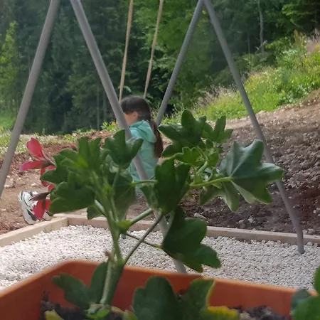 Willa Sunshine Dreams *