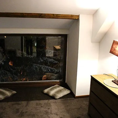 Sunshine Dreams Willa