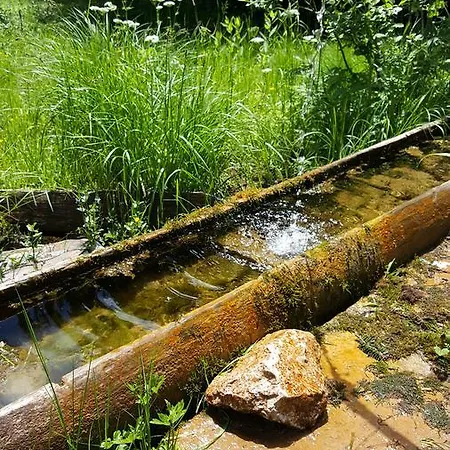 Sunshine Dreams * Jahorina