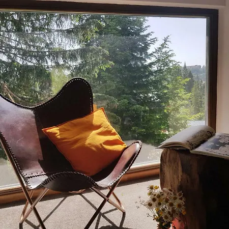 Sunshine Dreams Jahorina