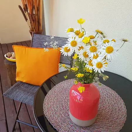 Sunshine Dreams Willa Jahorina