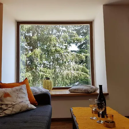 Willa Sunshine Dreams