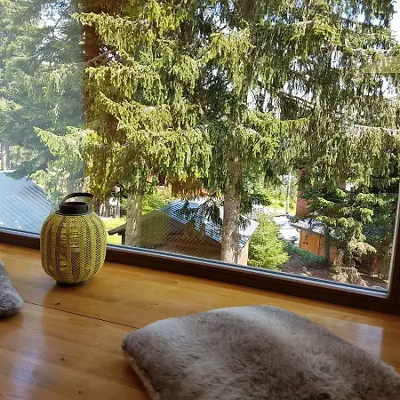 Sunshine Dreams Willa *